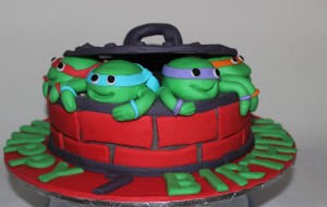 Ninja TMNT Birthday Cake