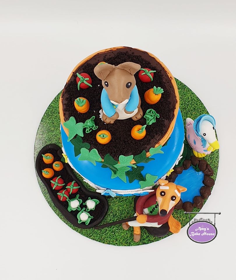 Peter Rabbit’ Themed Cake – Amys Bake House