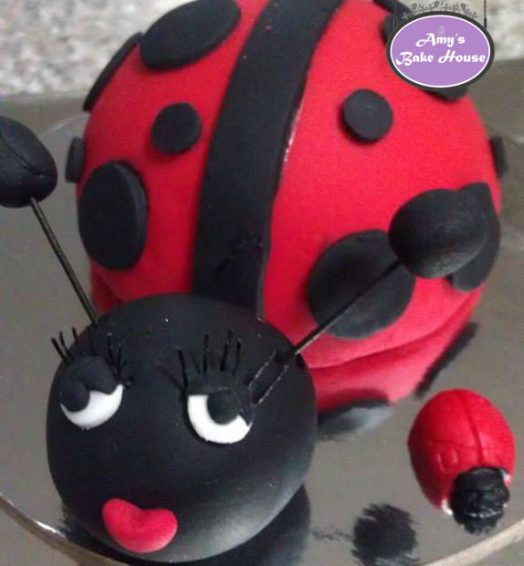 Lady Bug