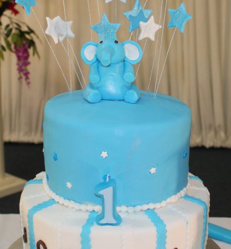 attachment-https://www.amysbakehouse.com.au/wp-content/uploads/2021/11/ElephantThemedBirthdayCake3-458x493.jpg