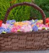 attachment-https://www.amysbakehouse.com.au/wp-content/uploads/2021/11/flower-basket-cake-2-100x107.jpg